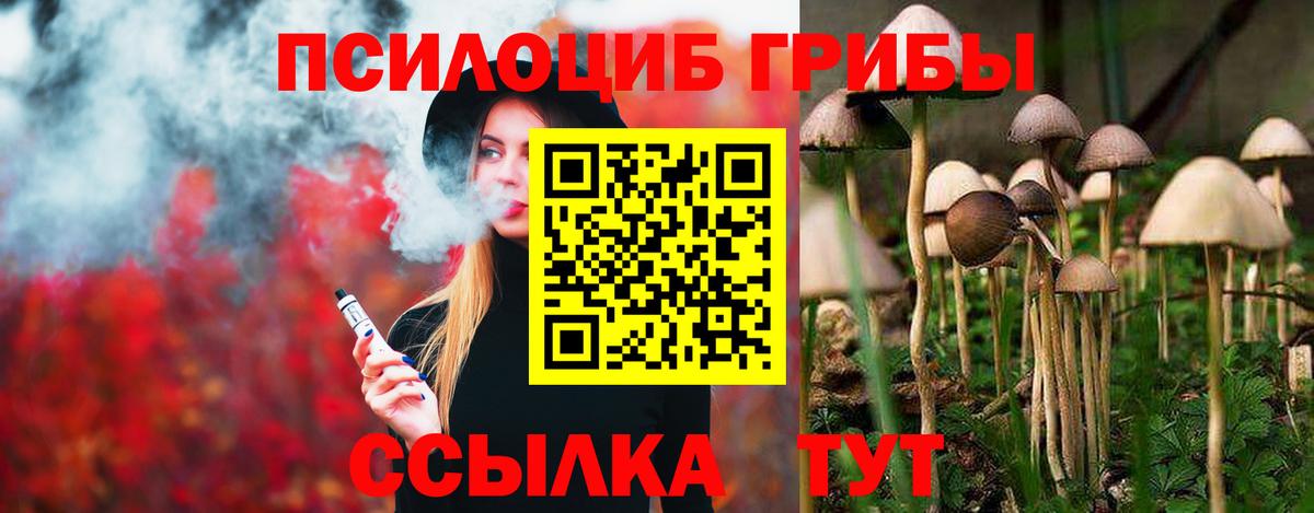 Галлюциногенные грибы MAGIC MUSHROOMS Черкесск