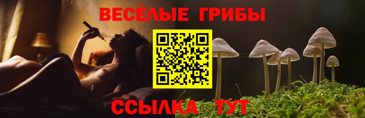 Галлюциногенные грибы мухоморы  Вход с VPN  купить наркотики цена  Черкесск  Псилоцибиновые грибы Magic Shrooms 